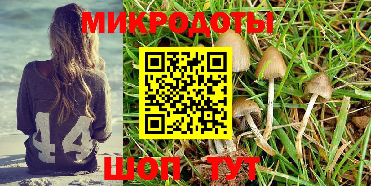 Псилоцибиновые грибы Cubensis Ижевск